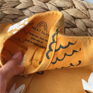 رامپر آناناسی نکست