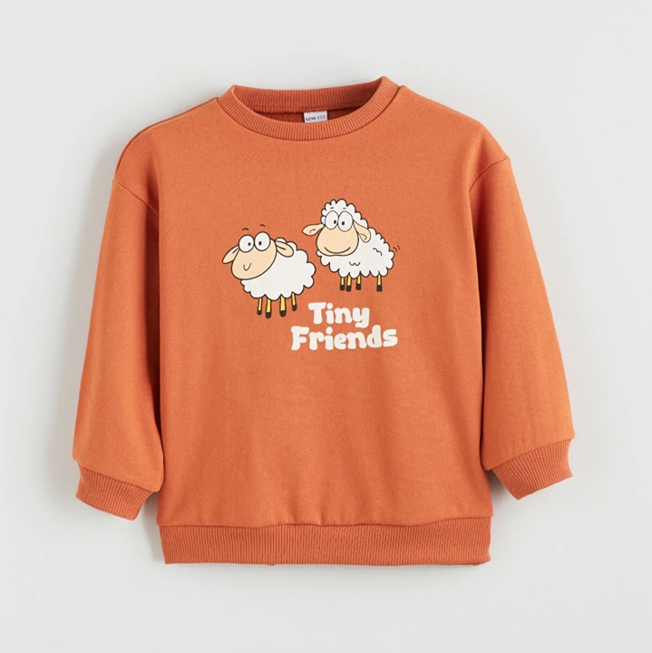 دورس  tiny friend السی ترک🧡