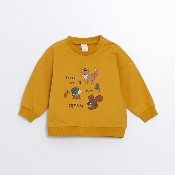 دورس روباه و سنجاب السی