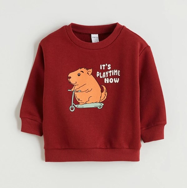 دورس السی اسکوتر🐿️